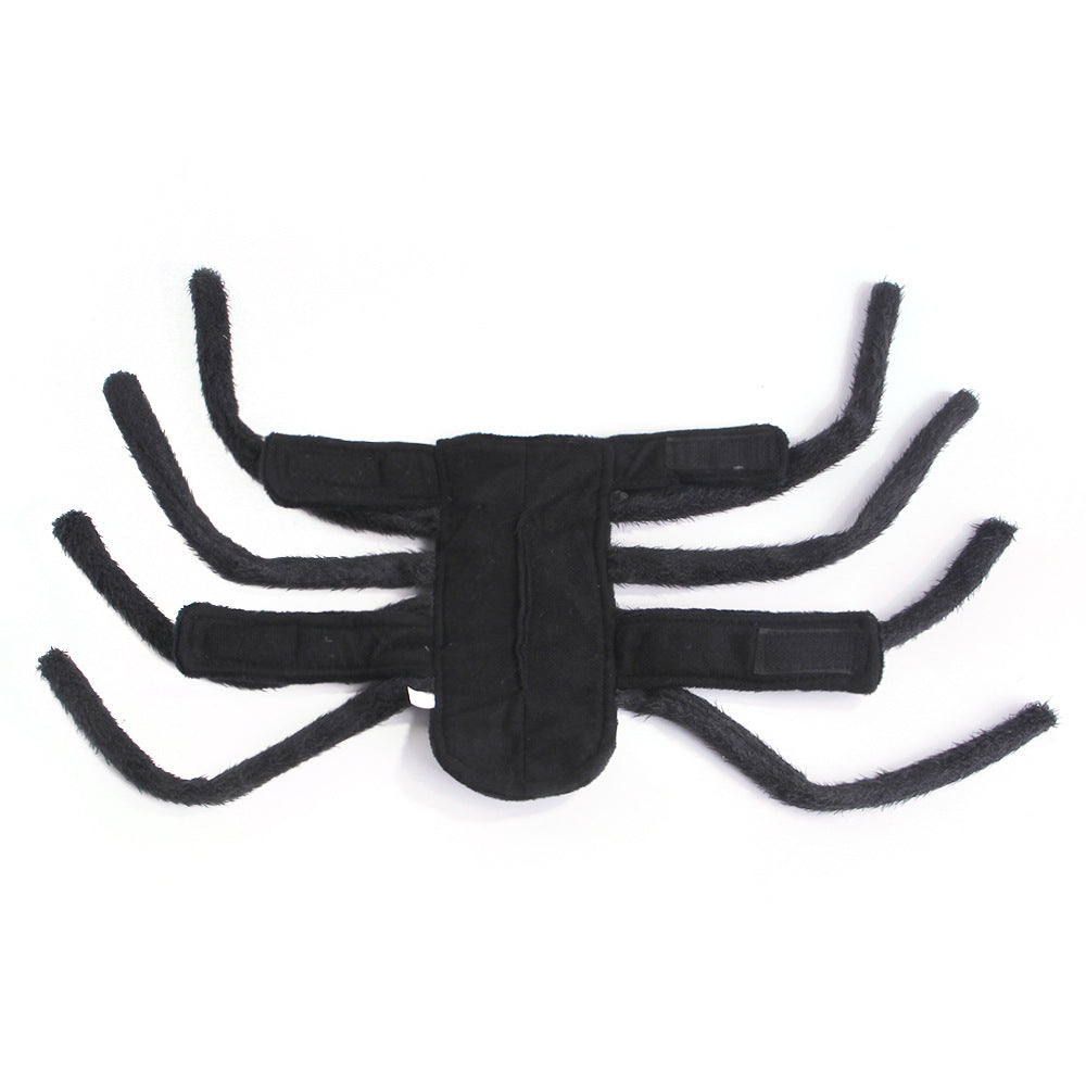 Pet HalloweenSpider Costume.