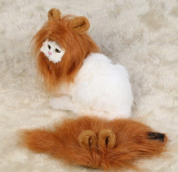 Pet Halloween Festival Costume.