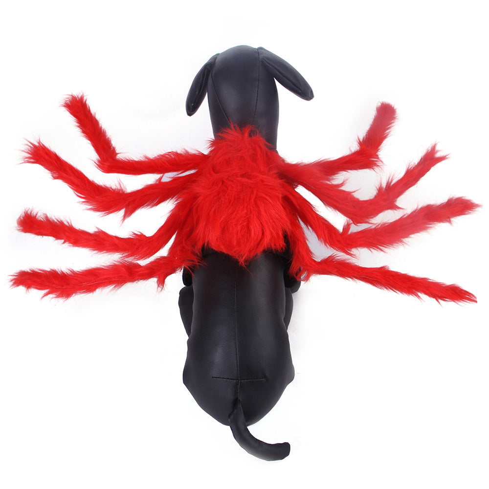 Cat Dog Halloween Spider Costume.