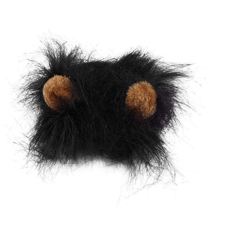 Pet Halloween Festival Costume.