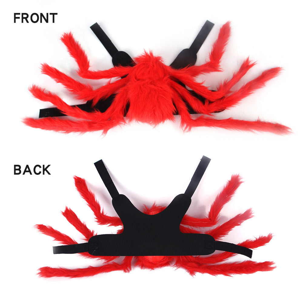 Cat Dog Halloween Spider Costume.