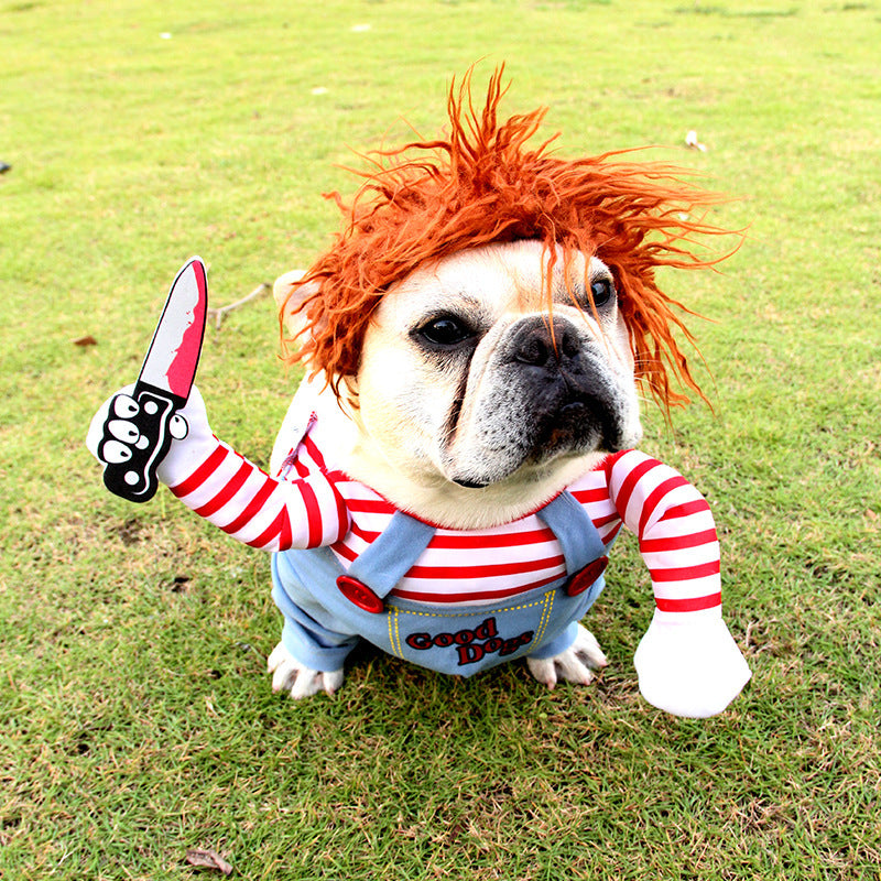 Halloween Pet Costume.