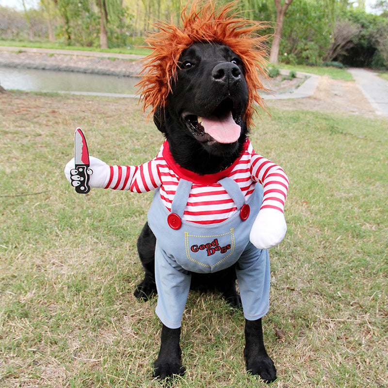 Halloween Pet Costume.