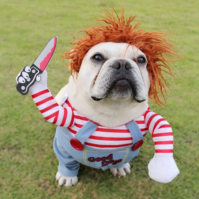 Halloween Pet Costume.
