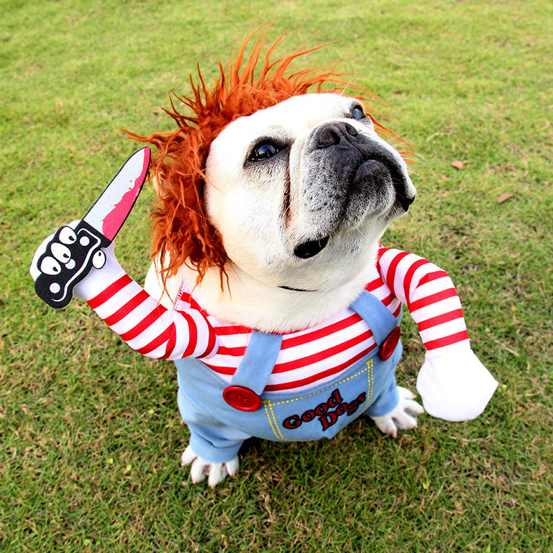 Halloween Pet Costume.