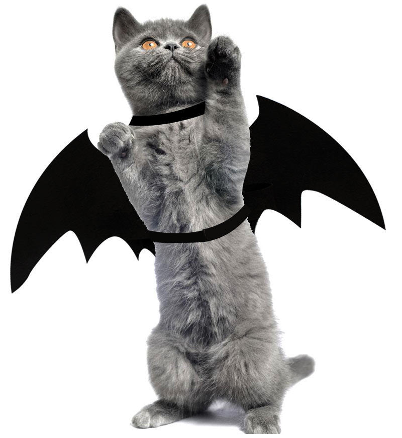 Halloween Costume Pet