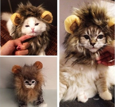Pet Halloween Festival Costume.
