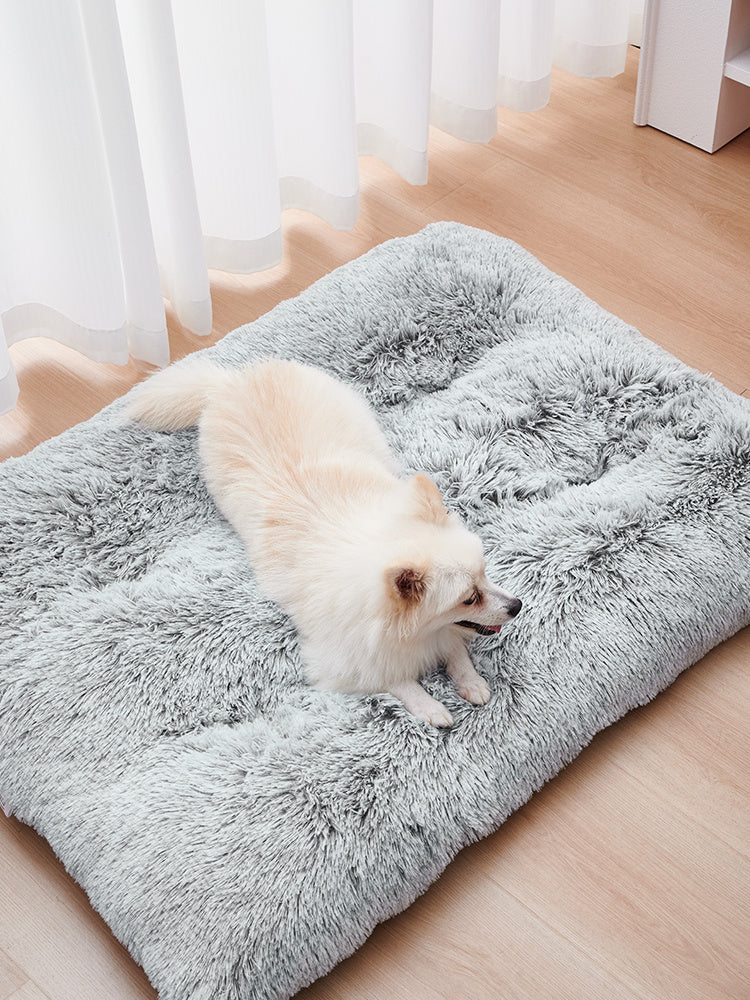 Sleep Protector Product Dog Bed