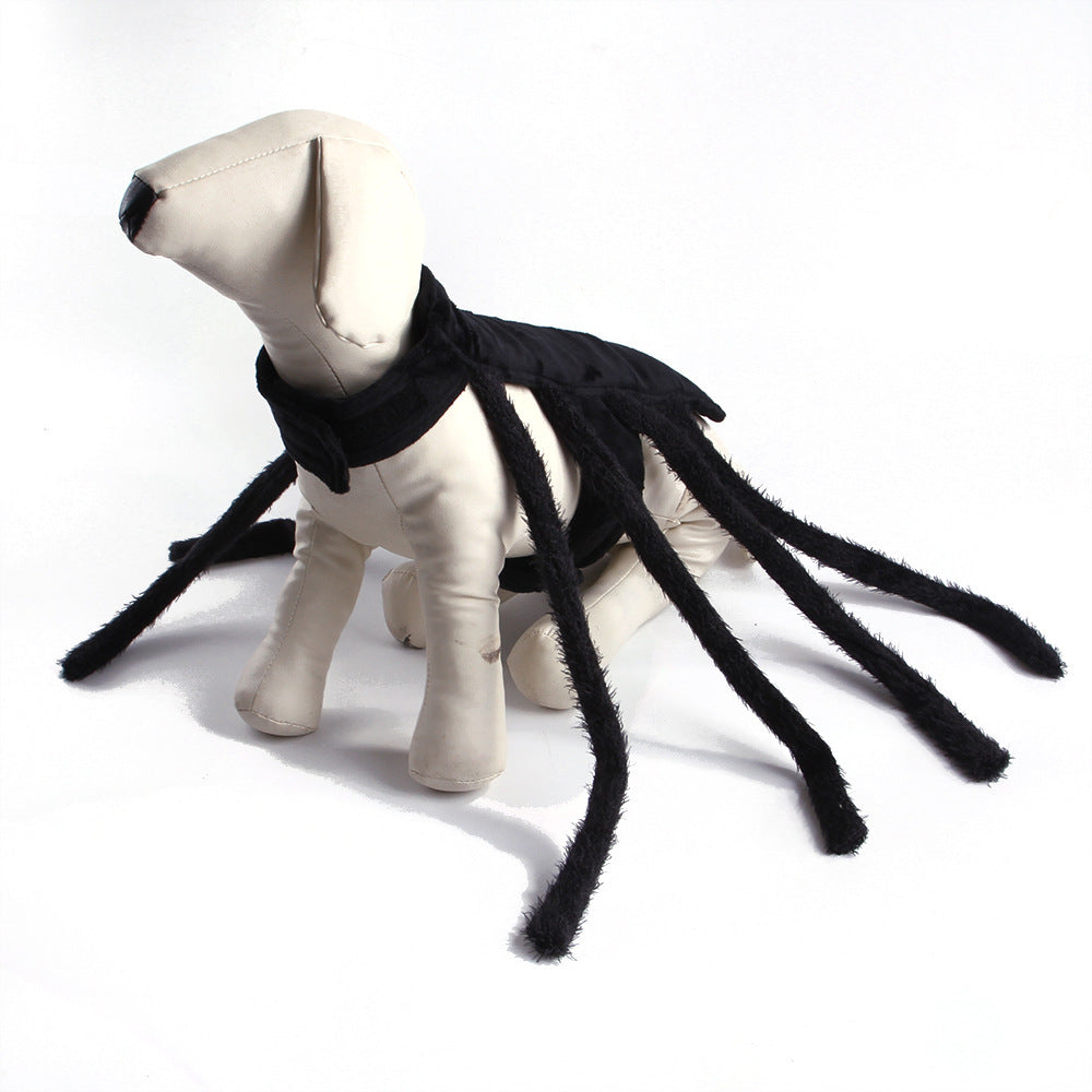 Pet HalloweenSpider Costume.
