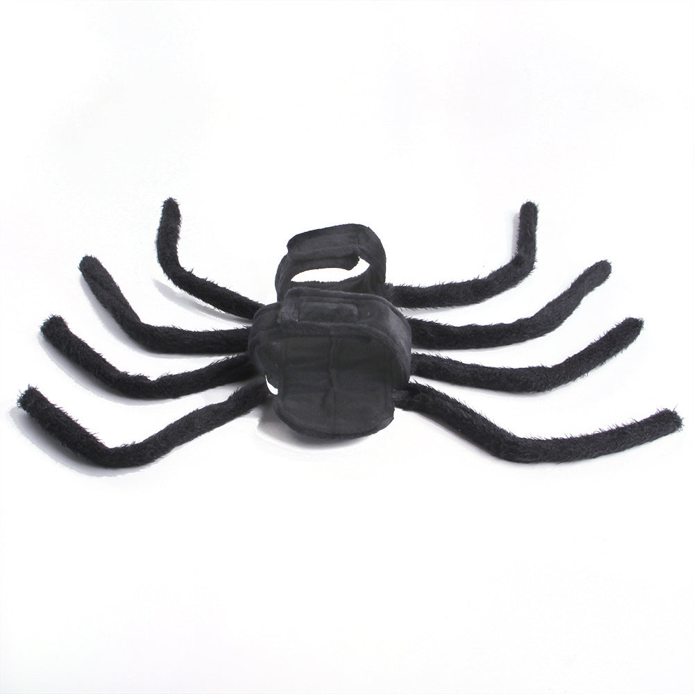 Pet HalloweenSpider Costume.