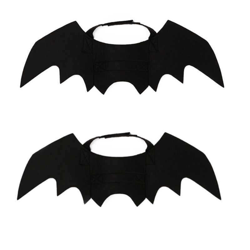 Halloween Costume Pet