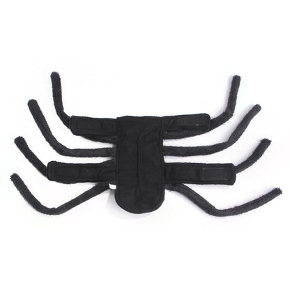 Pet HalloweenSpider Costume.
