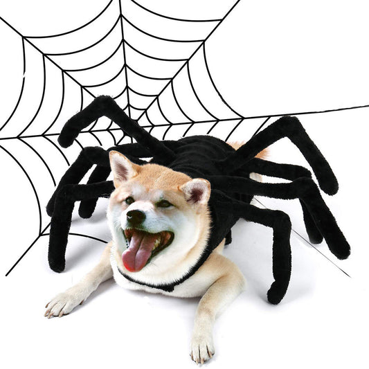 Pet HalloweenSpider Costume.