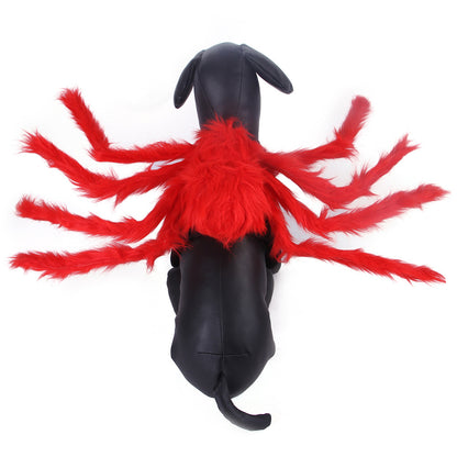 Cat Dog Halloween Spider Costume.