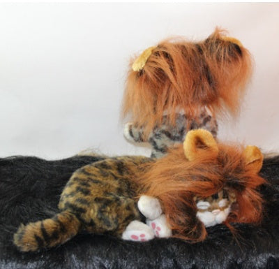 Pet Halloween Festival Costume.