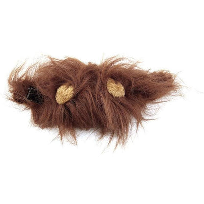 Pet Halloween Festival Costume.