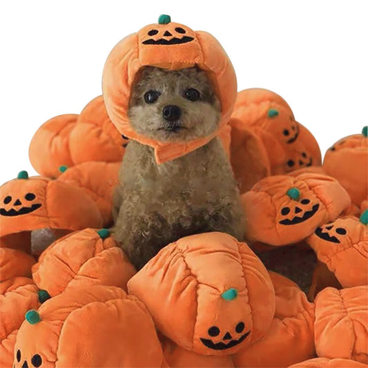 Pet Hat Halloween Pumpkin Costume.