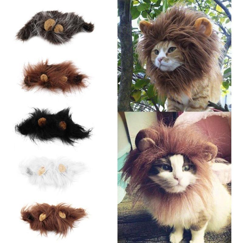 Pet Halloween Festival Costume.