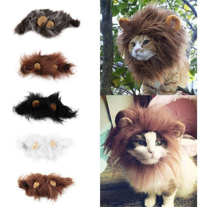Pet Halloween Festival Costume.