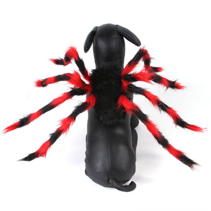 Cat Dog Halloween Spider Costume.