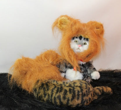 Pet Halloween Festival Costume.