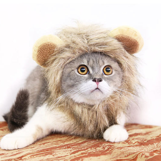 Pet Halloween Festival Costume.