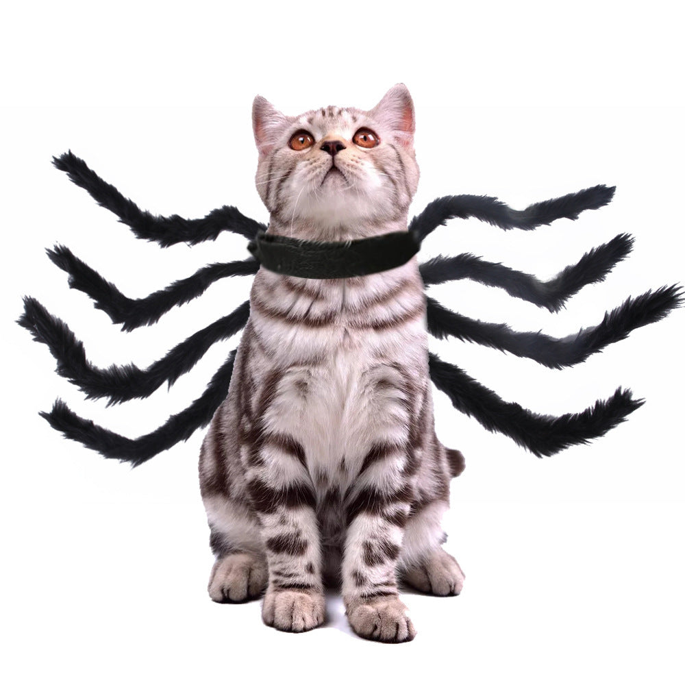 Cat Dog Halloween Spider Costume.