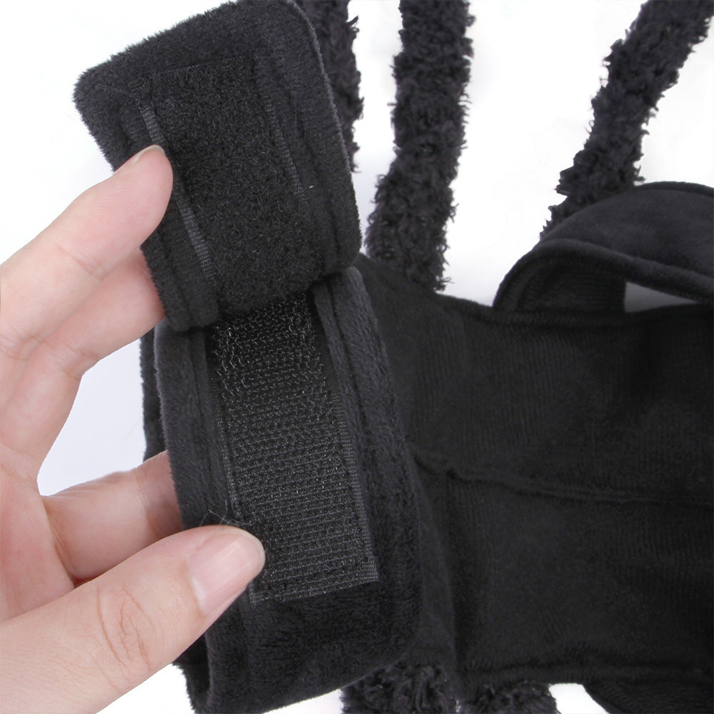Pet HalloweenSpider Costume.