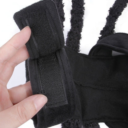 Pet HalloweenSpider Costume.