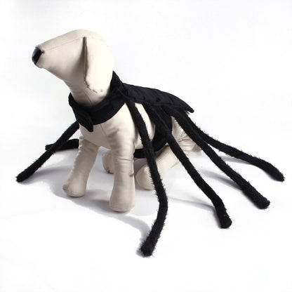 Pet HalloweenSpider Costume.