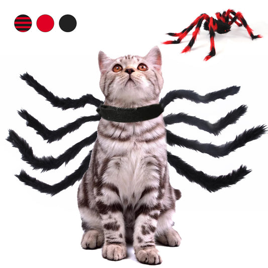 Cat Dog Halloween Spider Costume.
