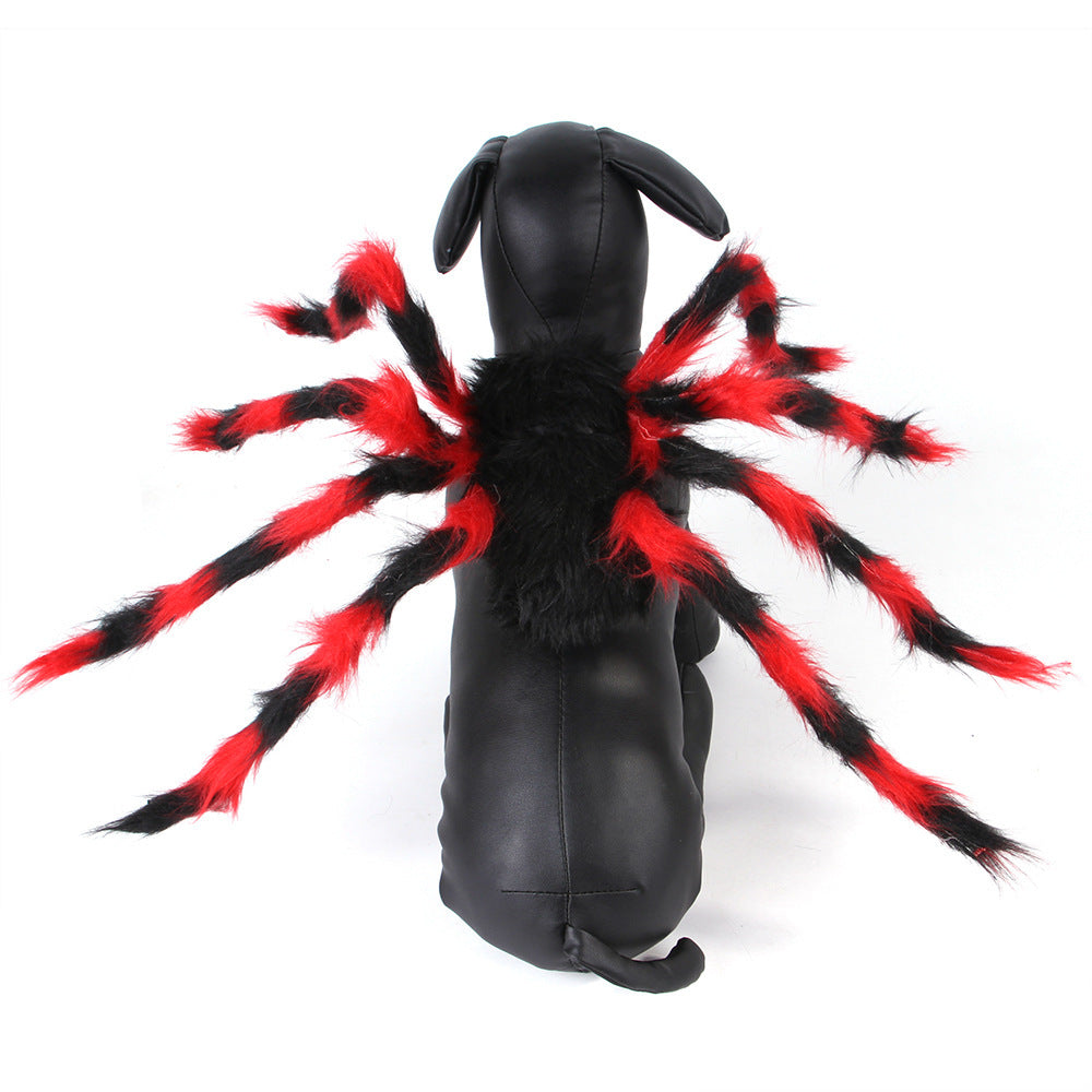 Cat Dog Halloween Spider Costume.