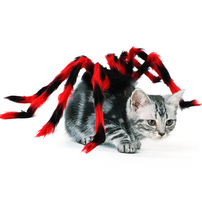 Cat Dog Halloween Spider Costume.