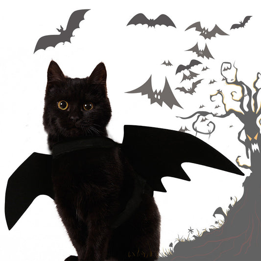 Halloween Costume Pet